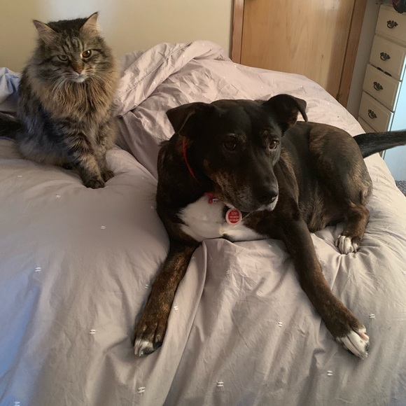 Meet your Posher, Aleksandra - Picture 3 of 3